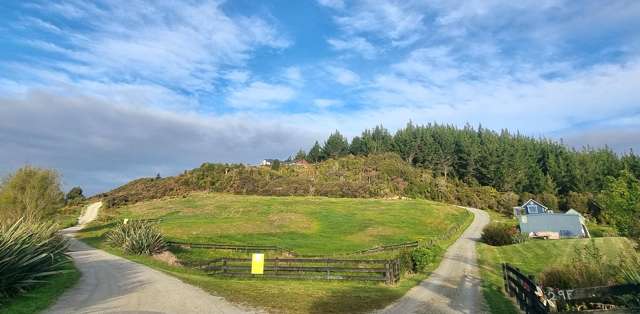 29G Reg Cox Drive Blue Spur_3