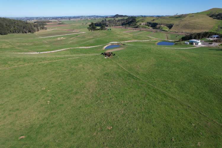 Lot 7 Mititai Road Dargaville_17
