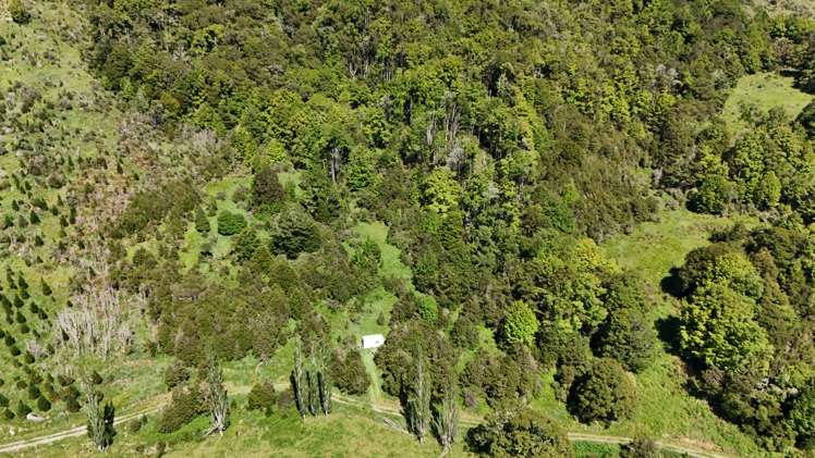 Tutaki Road South Murchison_3