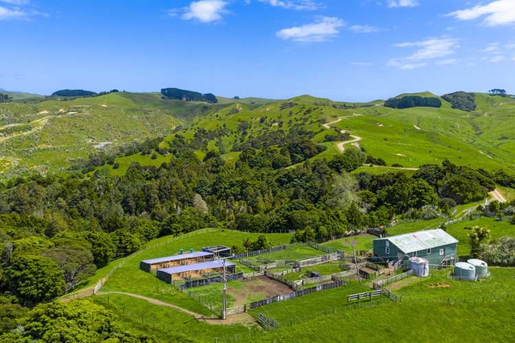 Te Akau Coast Road Te Akau_24