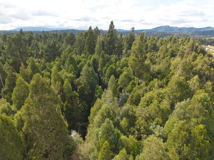 52 Aratika Drive Arnold Valley_16