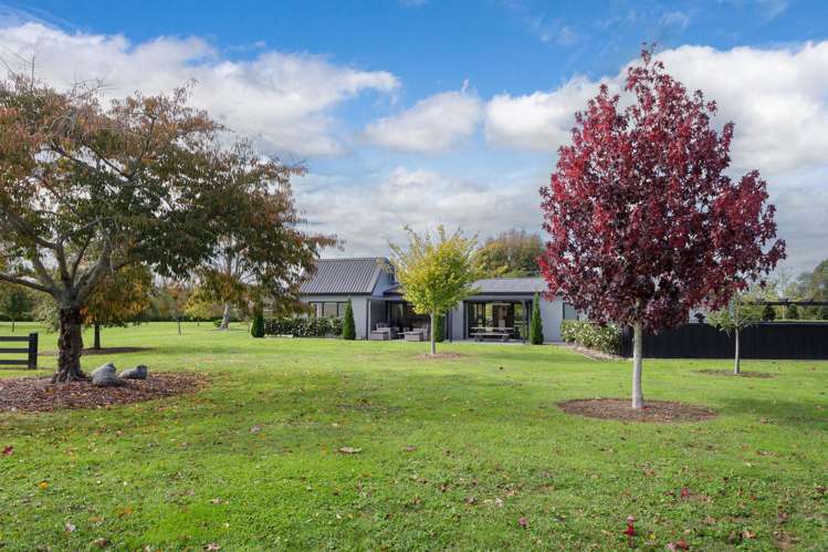 18 Orchard Place Matamata_32