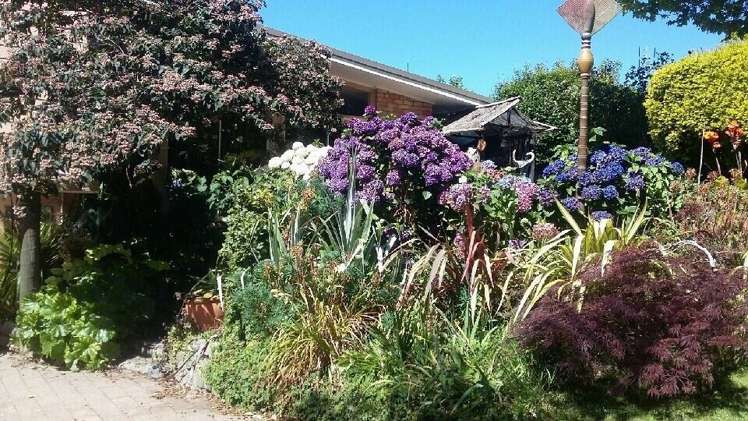 10a Hobson Street Waihi_3