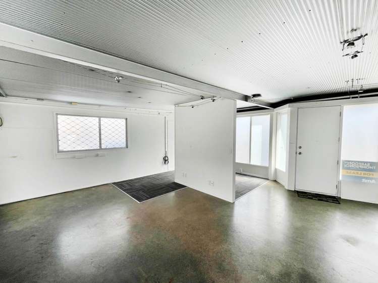 29 Crummer Road Ponsonby_2