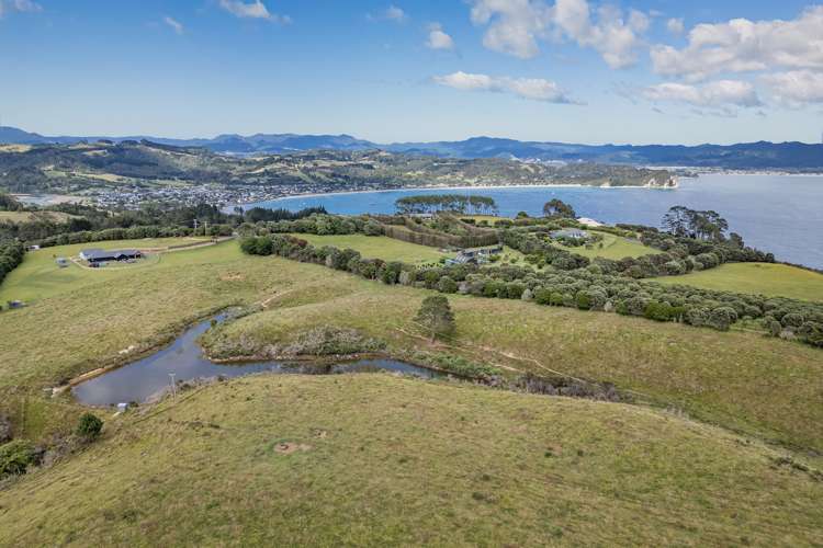 396 Lees Road Hahei_6