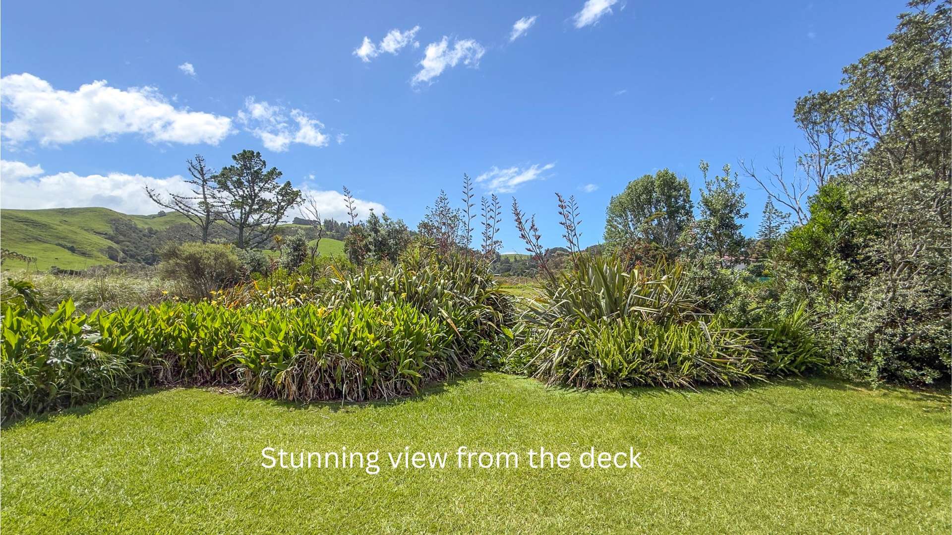 26a Marlin Place Whiritoa_0