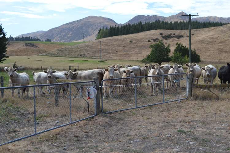 74 Topps Road Rotherham_12