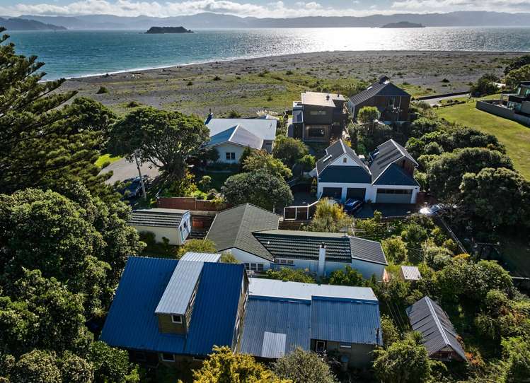 9 Nikau Street Eastbourne_18