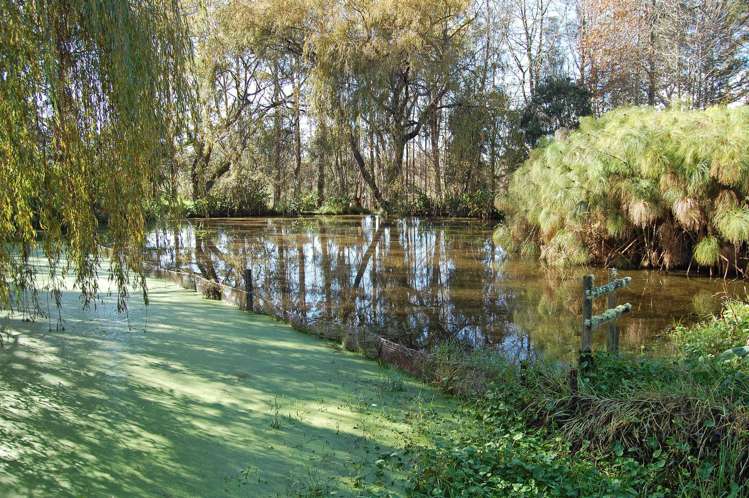 364 Oneriri Road Kaiwaka_12