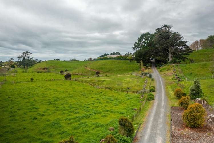 79 Dorset Road Hillsborough_38