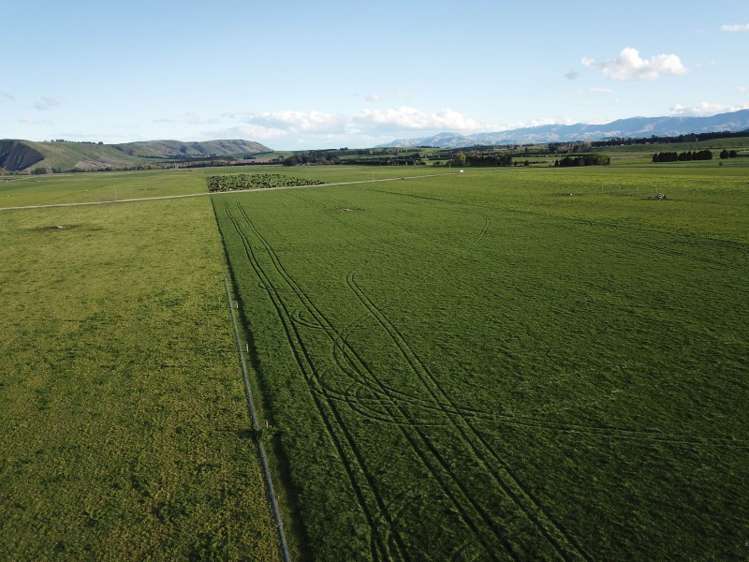 276 Talbot Road Fairlie_6