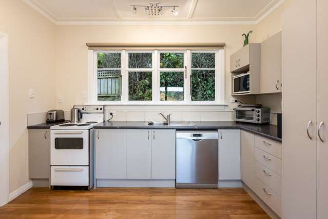 10 Seddon Street Ravensbourne_4