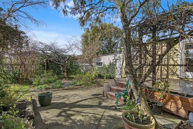 14 Venus Street Georgetown_21