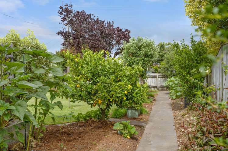 97 Howick Road Redwoodtown_27