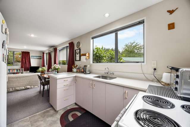 5b Larch Place Wanaka_2