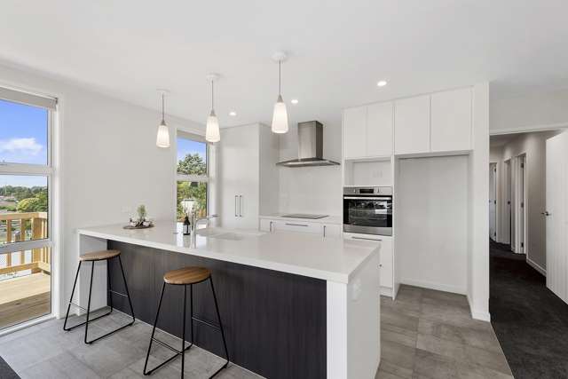 44a Waimarie Street Nawton_3