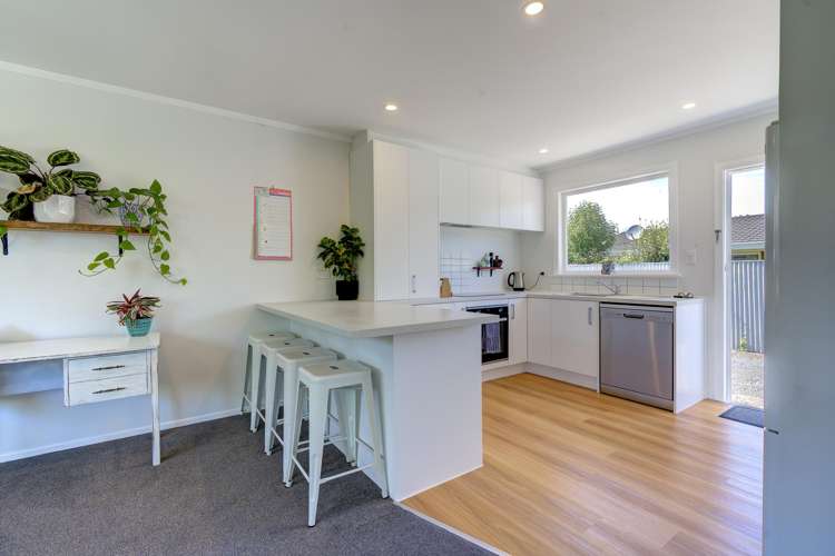 73b Nixon Street Hamilton East_3