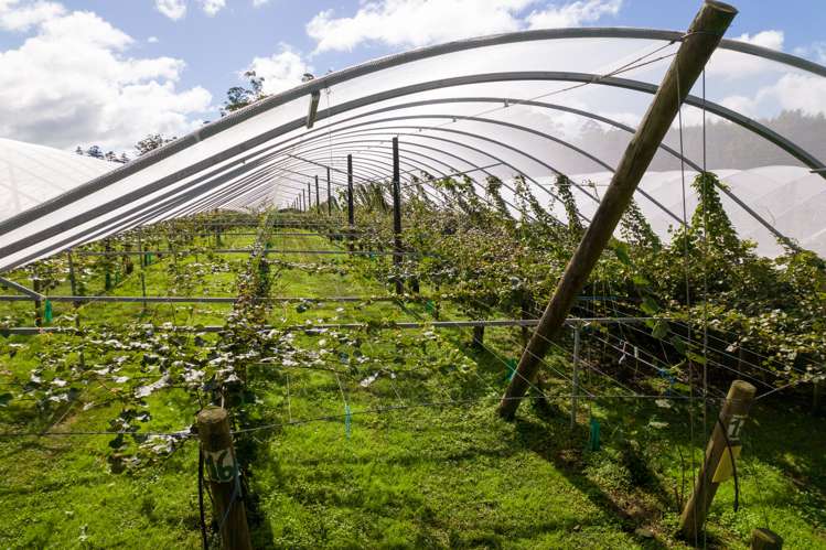 170d Kerikeri Inlet Road Kerikeri_18