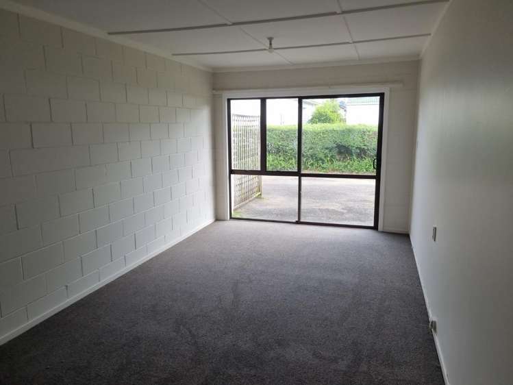 4B Hinau Street 2752_5
