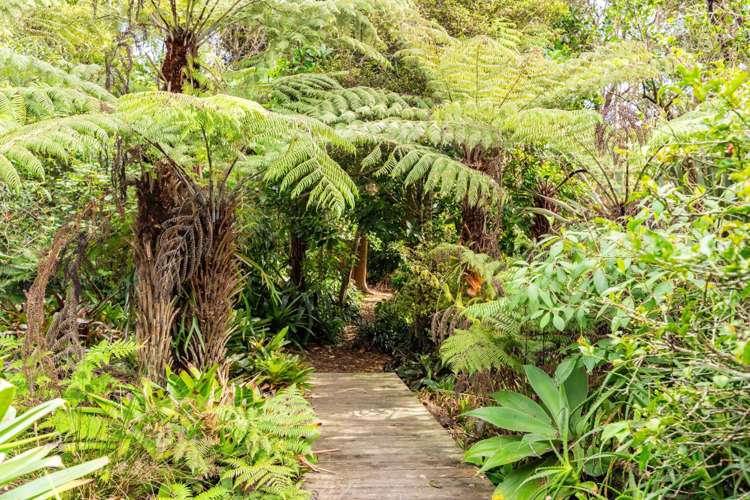 85 Old Waipu Road Mangawhai_36