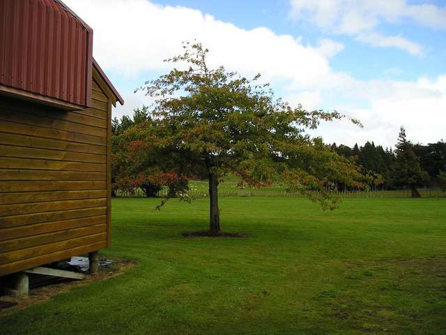 10 Tawa Street Ohakune_4