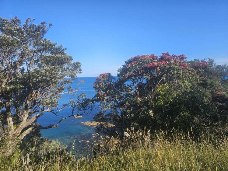 216K and 216Q Matapaua Bay Road Opito Bay_13