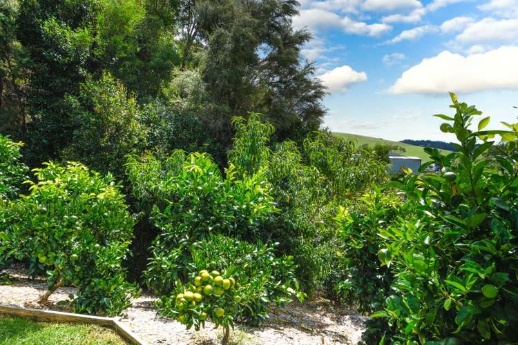 11 Gavinike Place Waimauku_17