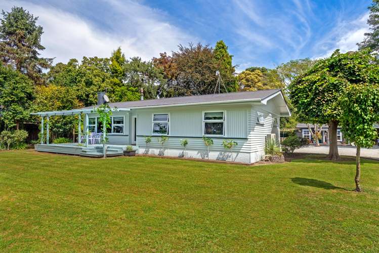 1137 Matawai Road Ormond_0