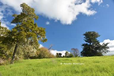7 Te Tonga Road_4