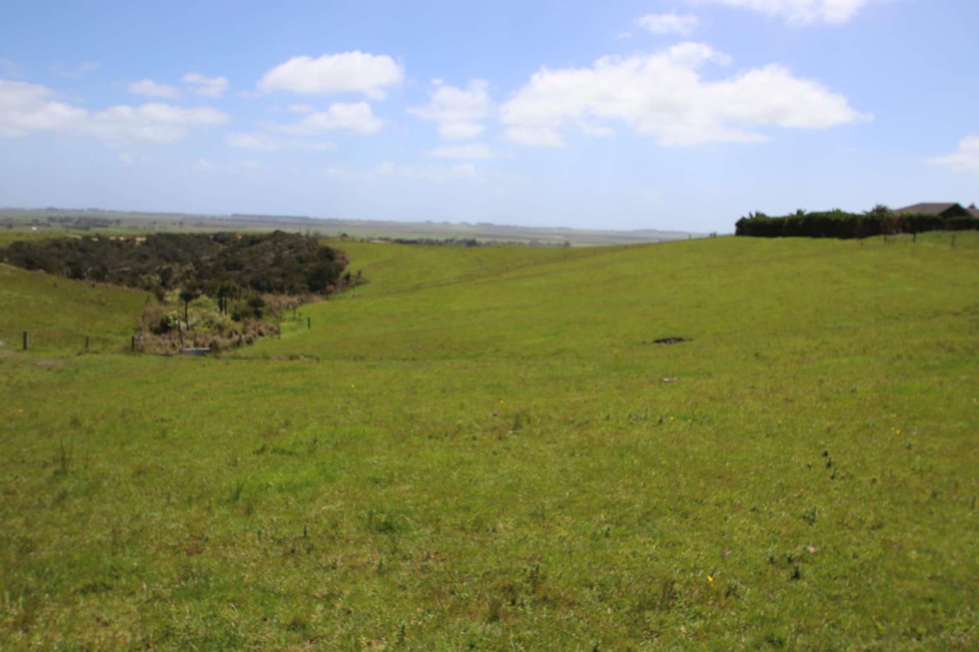 Okahu Road Kaitaia_0