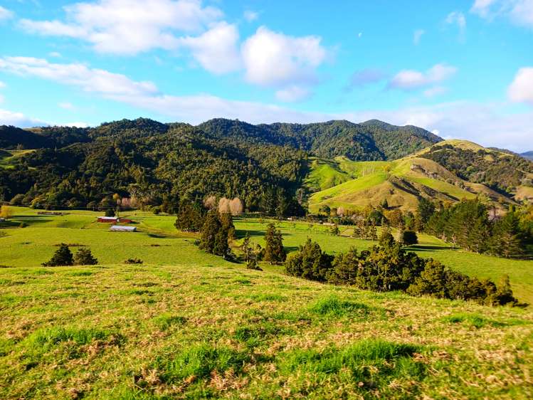 92 Takahue Saddle Road Takahue_9