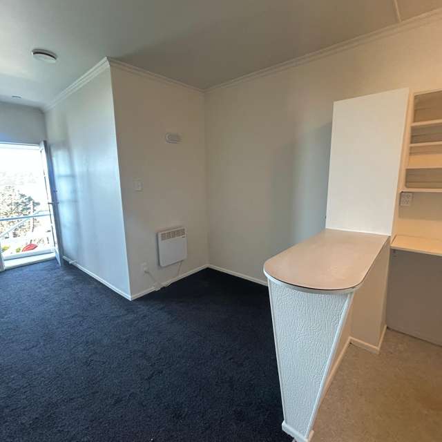  5/58 Fairlie Terrace Kelburn_1