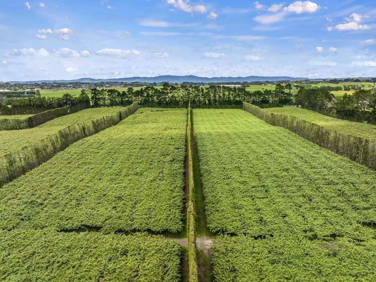 37 and 41 Taurangaruru Road Waiuku_15