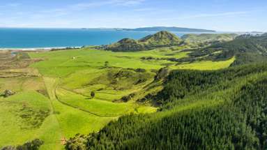 550 Black Jack Road_4