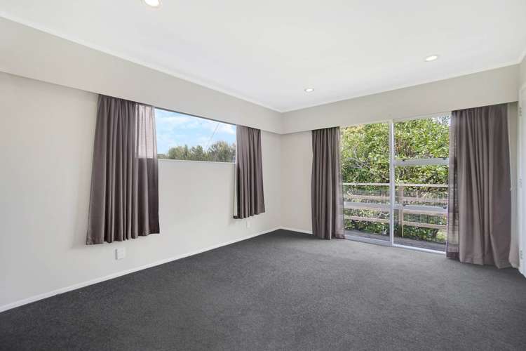 50 Potter Road Dairy Flat_6