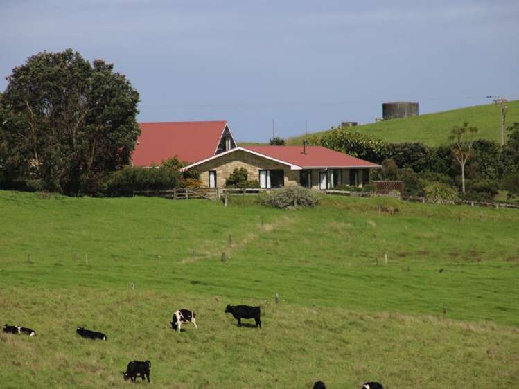 817 Baylys Coast Road Dargaville Surrounds_7