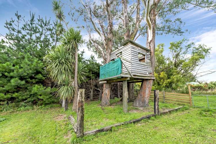 48 Pocock Road Springfield_25