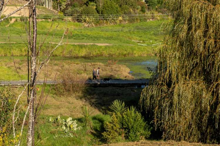 110 Sereno Vista Bellevue_10