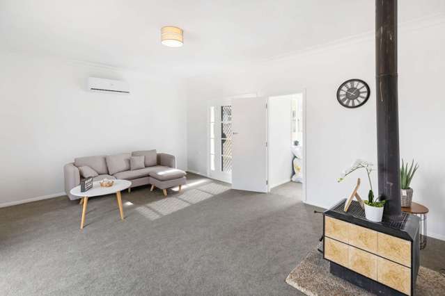 14 Chester Street Levin_3