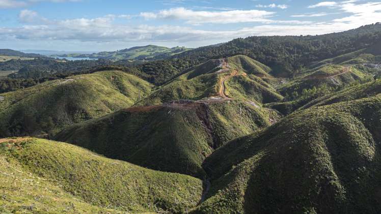 982B Manaia Road Coromandel_17