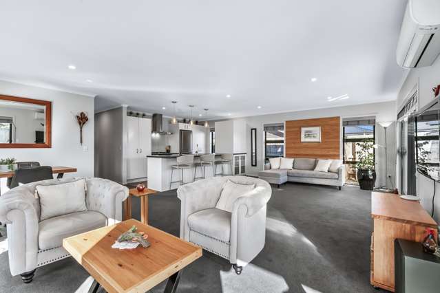 10 Ash Close Levin_2