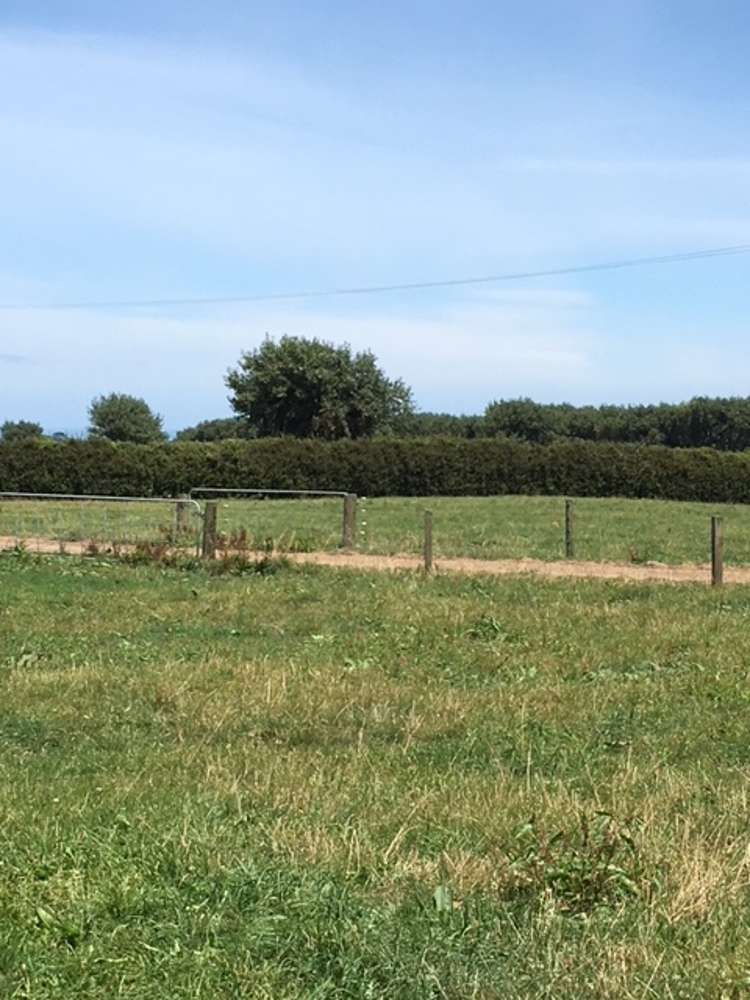 1703 Eltham Road Riverlea_24