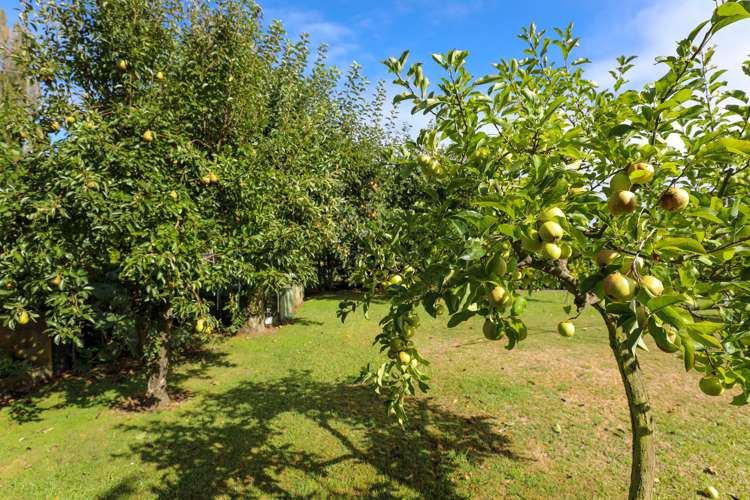 3 Corlett Street Taumarunui_15