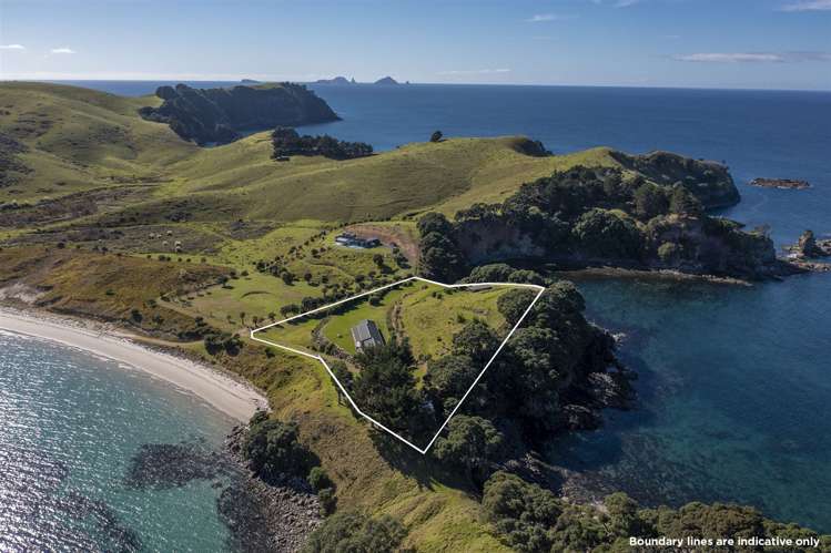 191b Pacific Ocean Slipper Island (Whakahau)_29