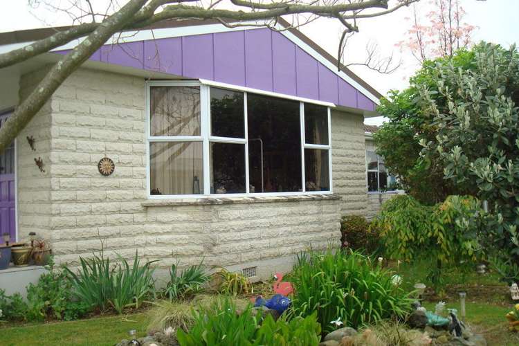 28 Braemar Street Levin_7