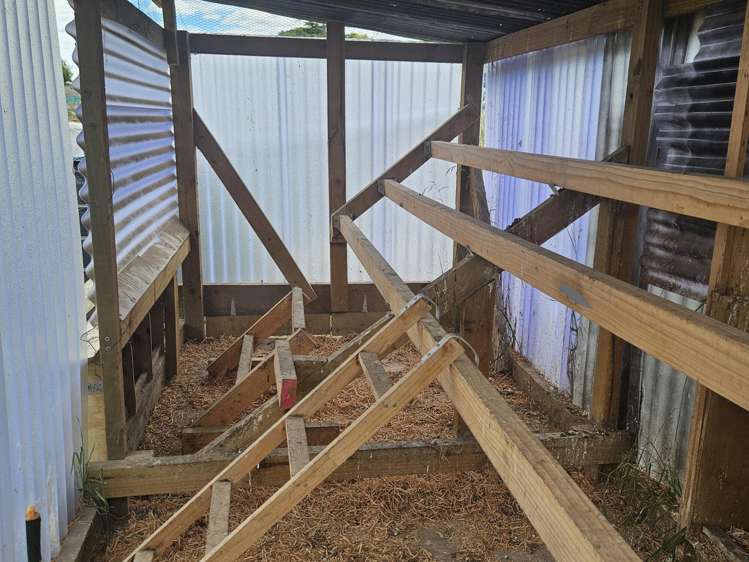 Middle Street Reidston_11