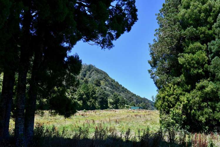 1/Lot 1 Kongahu Road Little Wanganui_13
