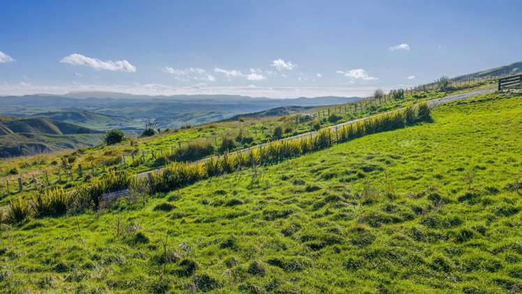 668B Old Hill Road Porangahau_6