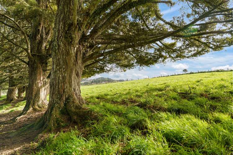 Lot Lots 2 - 4 Pool Road Wellsford_13