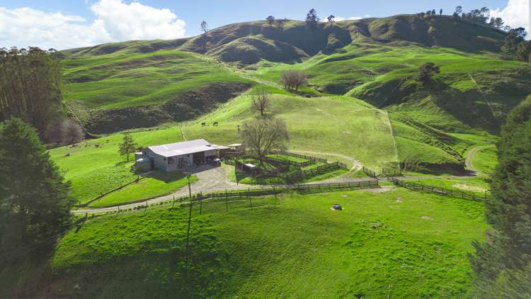Coates Road Waikite Valley_5